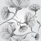  A sketch of black and white flowers