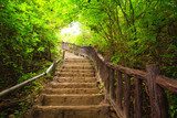Green stairs, quiet days