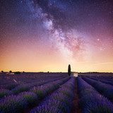 Celestial Lavender Horizon