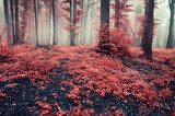 Crimson Mist in Autumn Woods
