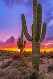 Desert Twilight Blaze