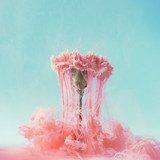 Ethereal Bloom in Liquid Motion