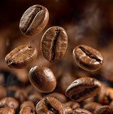 Macro View of Roasted Coffee Beans