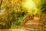 Sunlit Autumn Stroll