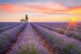 Sunset Over Lavender Fields