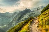 Whisper of the Mountain Trail