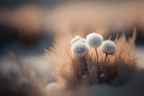 Whispers of Dandelion Dreams