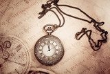 Whispers of Time in Sepia Hues