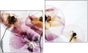 Diptych