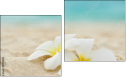 Diptych