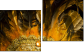 Diptych