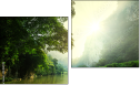 Diptych