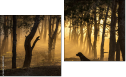 Diptych