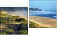 Diptych