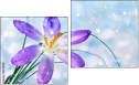 Diptych