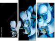 Triptych