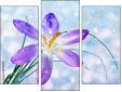 Triptych