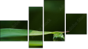 Fortyk