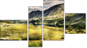Fortyk