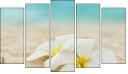 Pentaptych