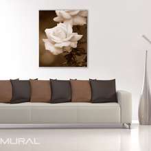 The-scent-of-a-rose-posters-flowers-posters-demural