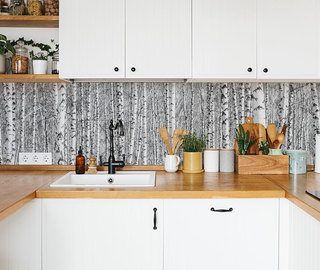 in the birch forest kitchen wallpaper mural photo wallpapers demural