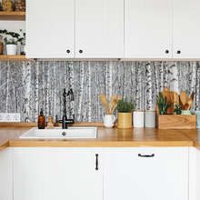 In-the-birch-forest-kitchen-wallpaper-mural-photo-wallpapers-demural