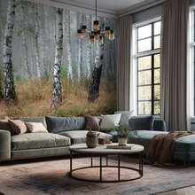 Proximity-to-a-birch-grove-living-room-wallpaper-mural-photo-wallpapers-demural