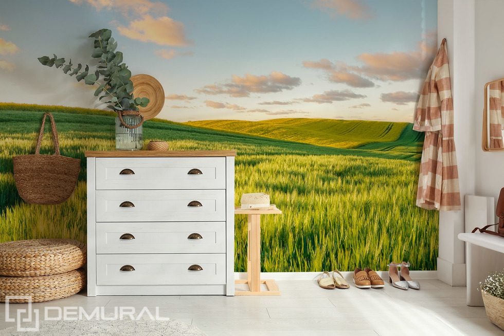 Sunny Hills at Sunset Landscapes wallpaper mural Photo wallpapers Demural