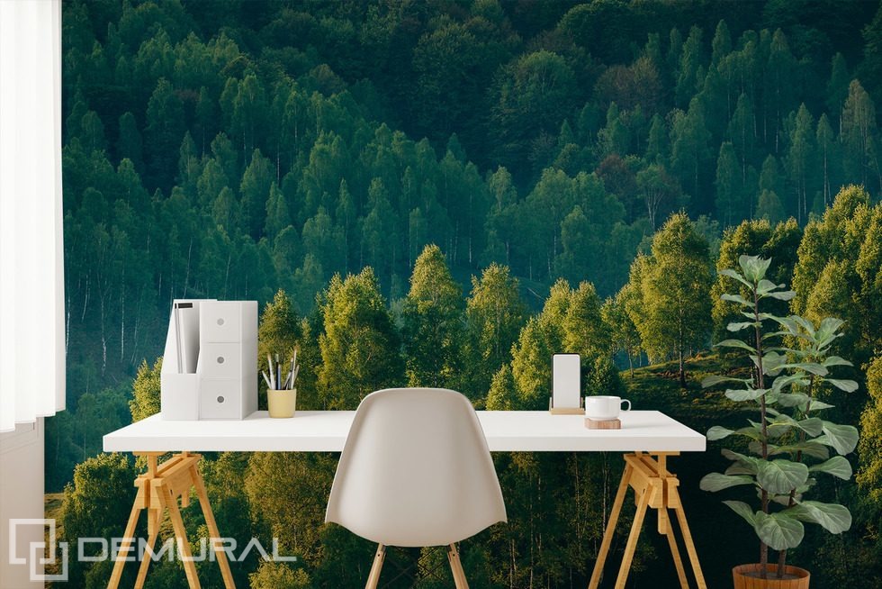 Forest Depth with a View of the Trees Landscapes wallpaper mural Photo wallpapers Demural