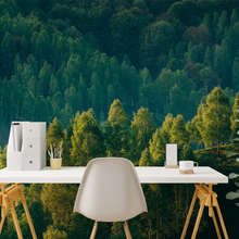 Forest-depth-with-a-view-of-the-trees-landscapes-wallpaper-mural-photo-wallpapers-demural