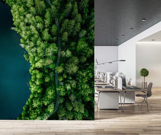 forest path by the water from a birds eye view office wallpaper mural photo wallpapers demural