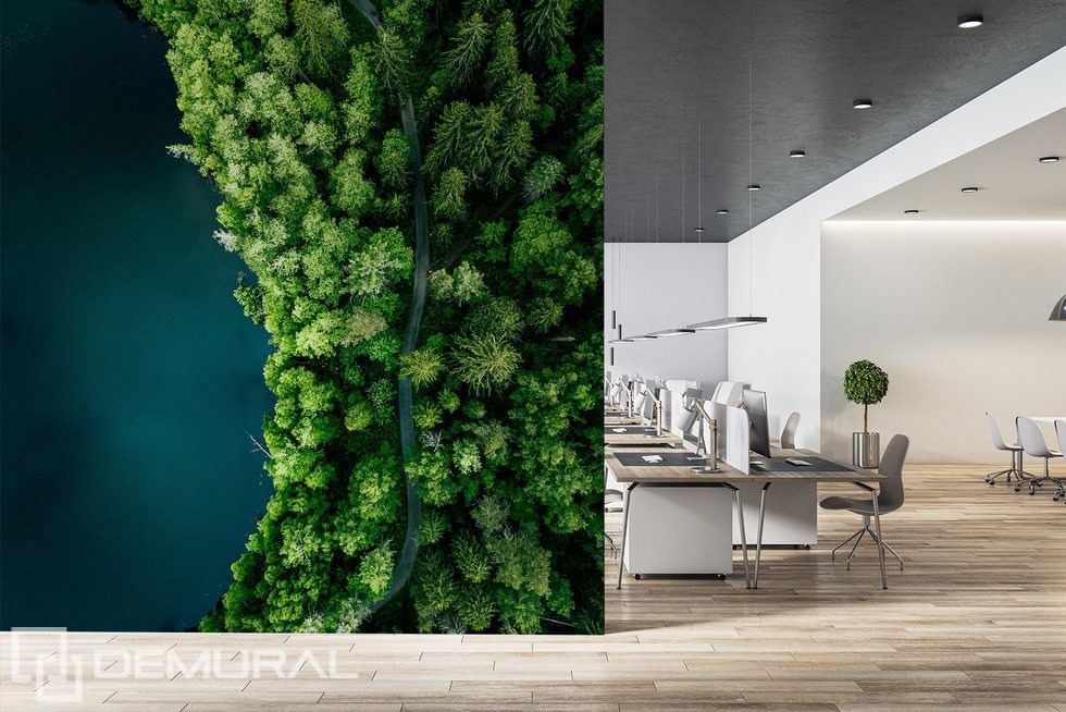 Forest Path by the Water from a Bird’s-Eye View Office wallpaper mural Photo wallpapers Demural