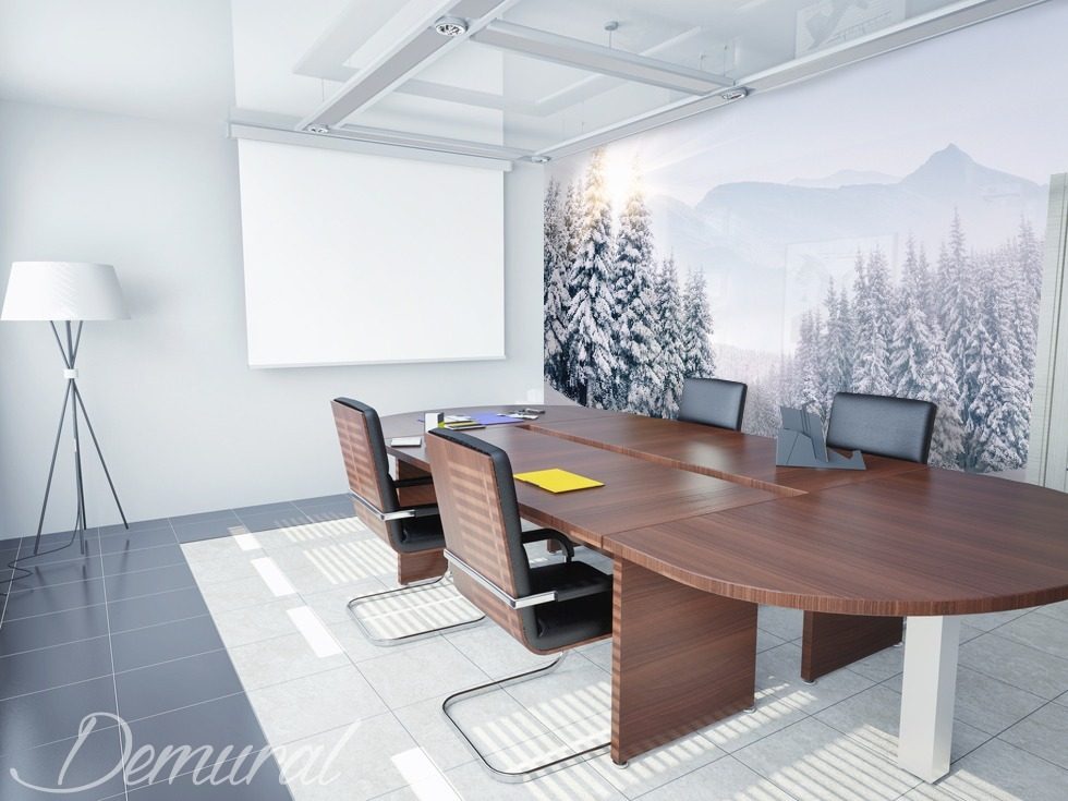 A hot and cold game Office wallpaper mural Photo wallpapers Demural