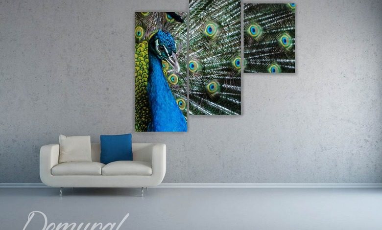 a peacocks eye canvas prints animals canvas prints demural