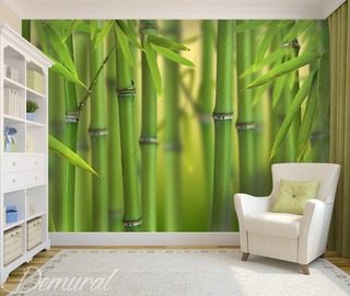 in a subtropical paradise teenagers room wallpaper mural photo wallpapers demural