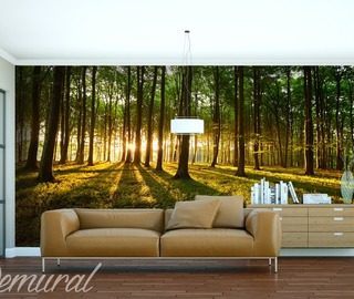 stylization tracks landscapes wallpaper mural photo wallpapers demural