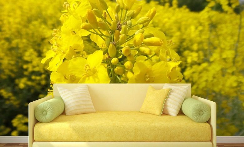 rapeseed field flowers wallpaper mural photo wallpapers demural