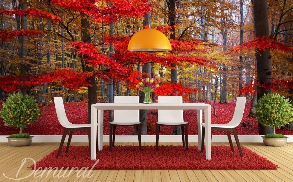 Red leaves on a tree Forest wallpaper mural Photo wallpapers Demural