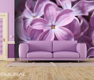 the lilac flower flowers wallpaper mural photo wallpapers demural