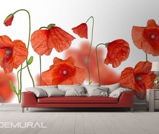 among red poppies poppies wallpaper mural photo wallpapers demural