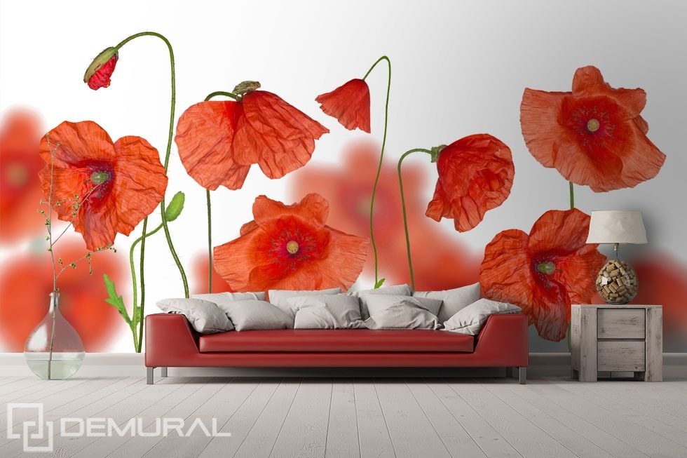 Among red poppies Poppies wallpaper mural Photo wallpapers Demural