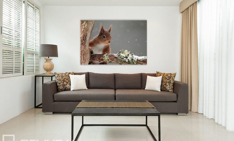 adorable squirrel posters in living room posters demural