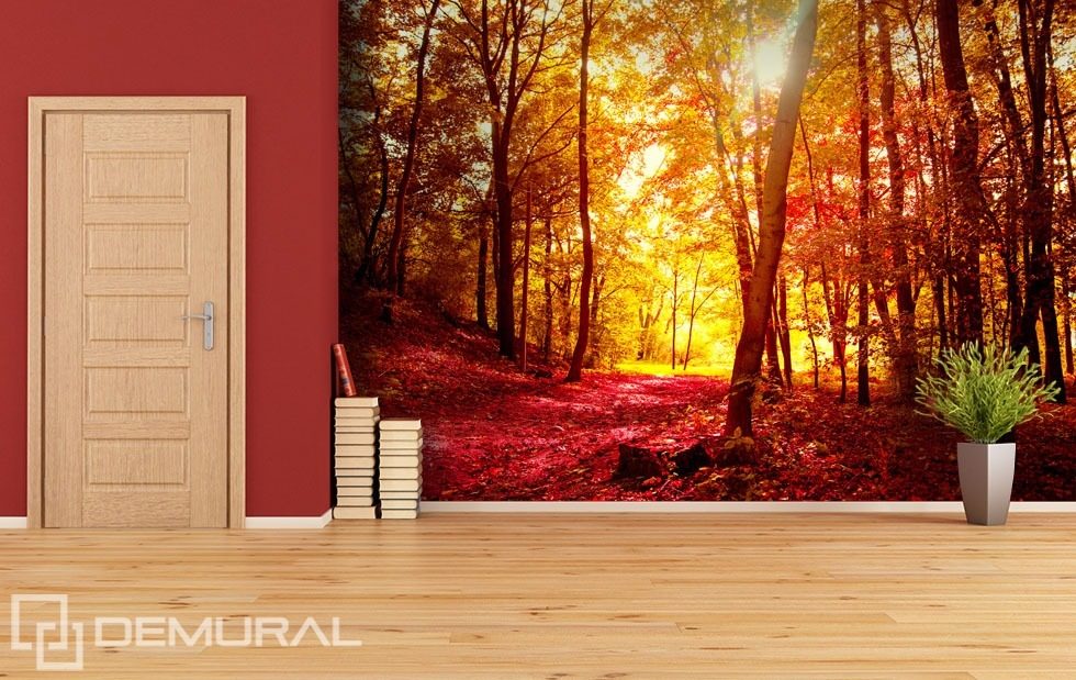 Autumn walk in the forest Forest wallpaper mural Photo wallpapers Demural
