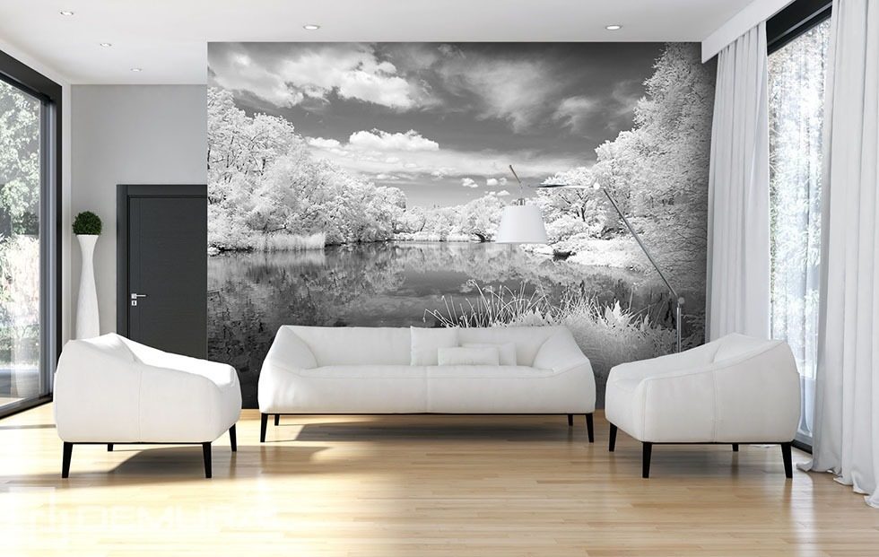 Grey lake Black and white wallpaper, mural Photo wallpapers Demural