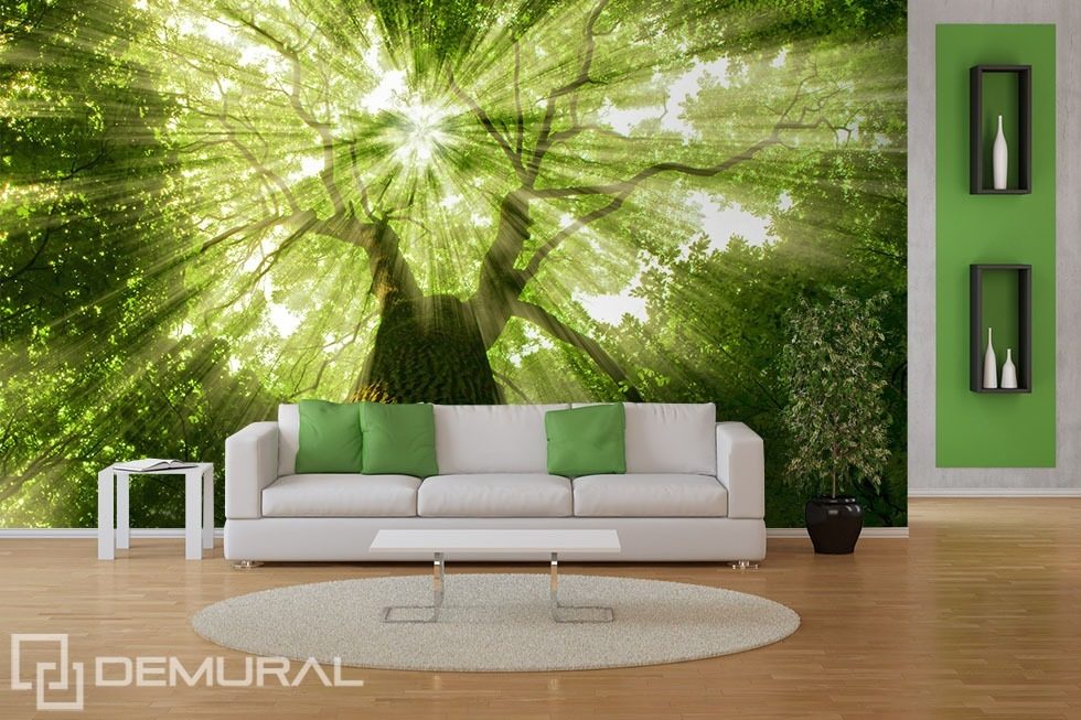 Sunbeams in greenery Forest wallpaper mural Photo wallpapers Demural