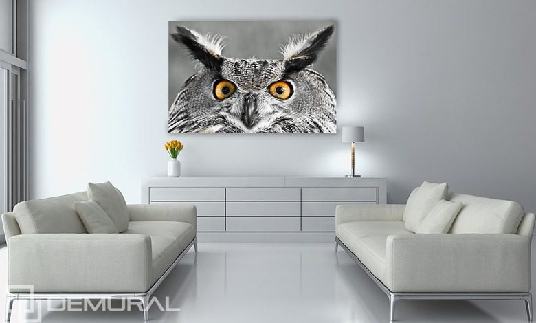 smart owls look canvas prints animals canvas prints demural