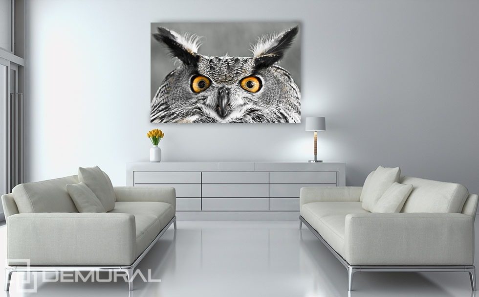 Smart owl’s look Canvas prints Animals Canvas prints Demural