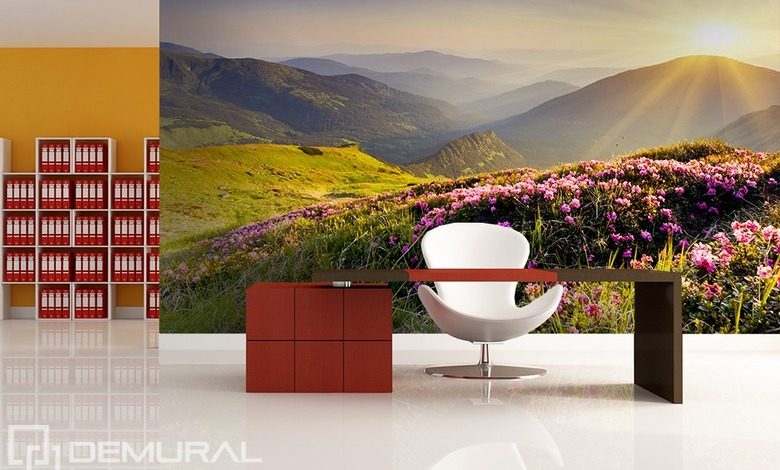sunny morning on the hill office wallpaper mural photo wallpapers demural
