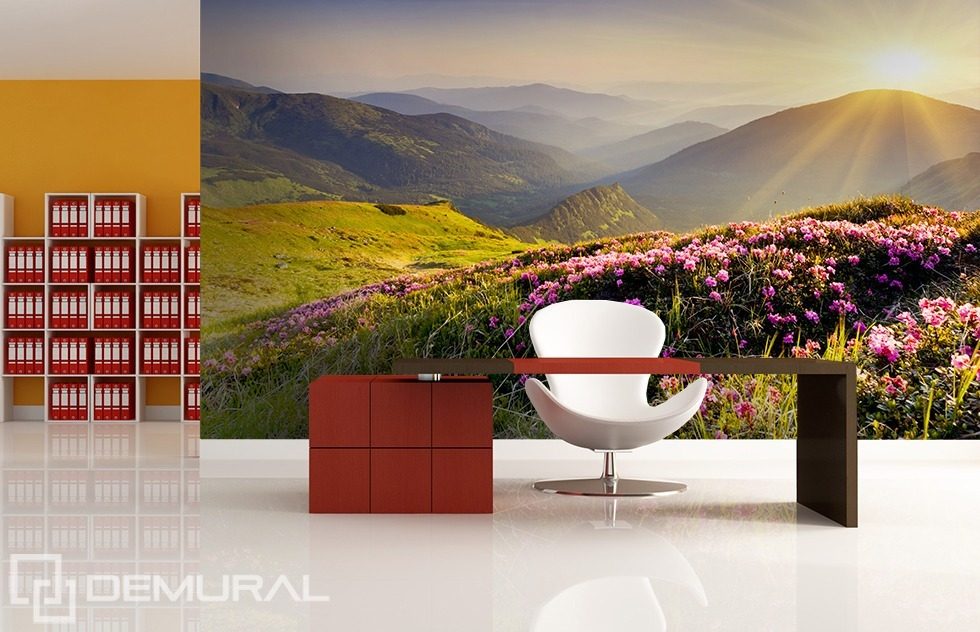 Sunny morning on the hill Office wallpaper mural Photo wallpapers Demural